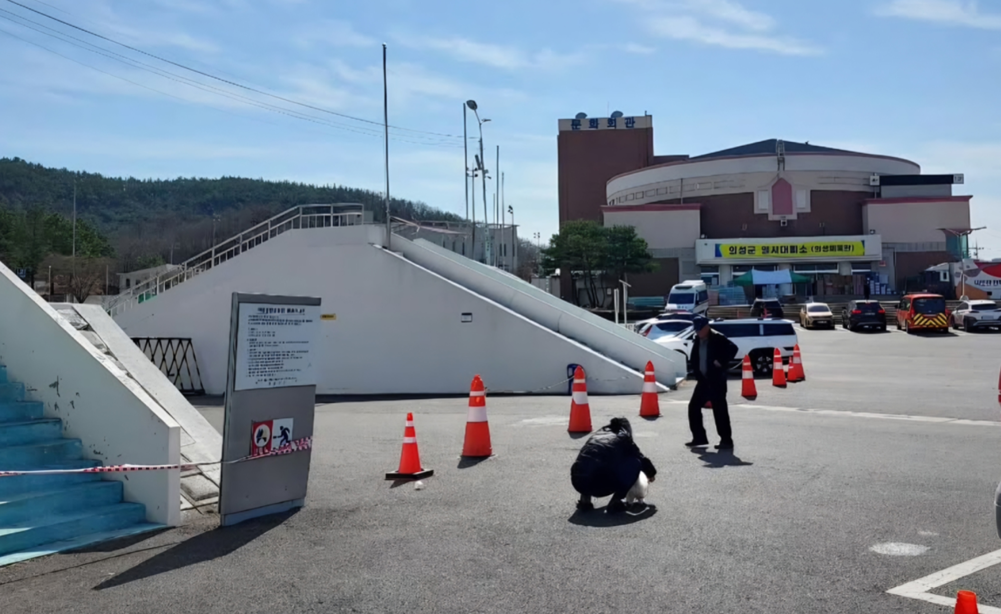 마을을 지키던 당산나무가 사라진 자리