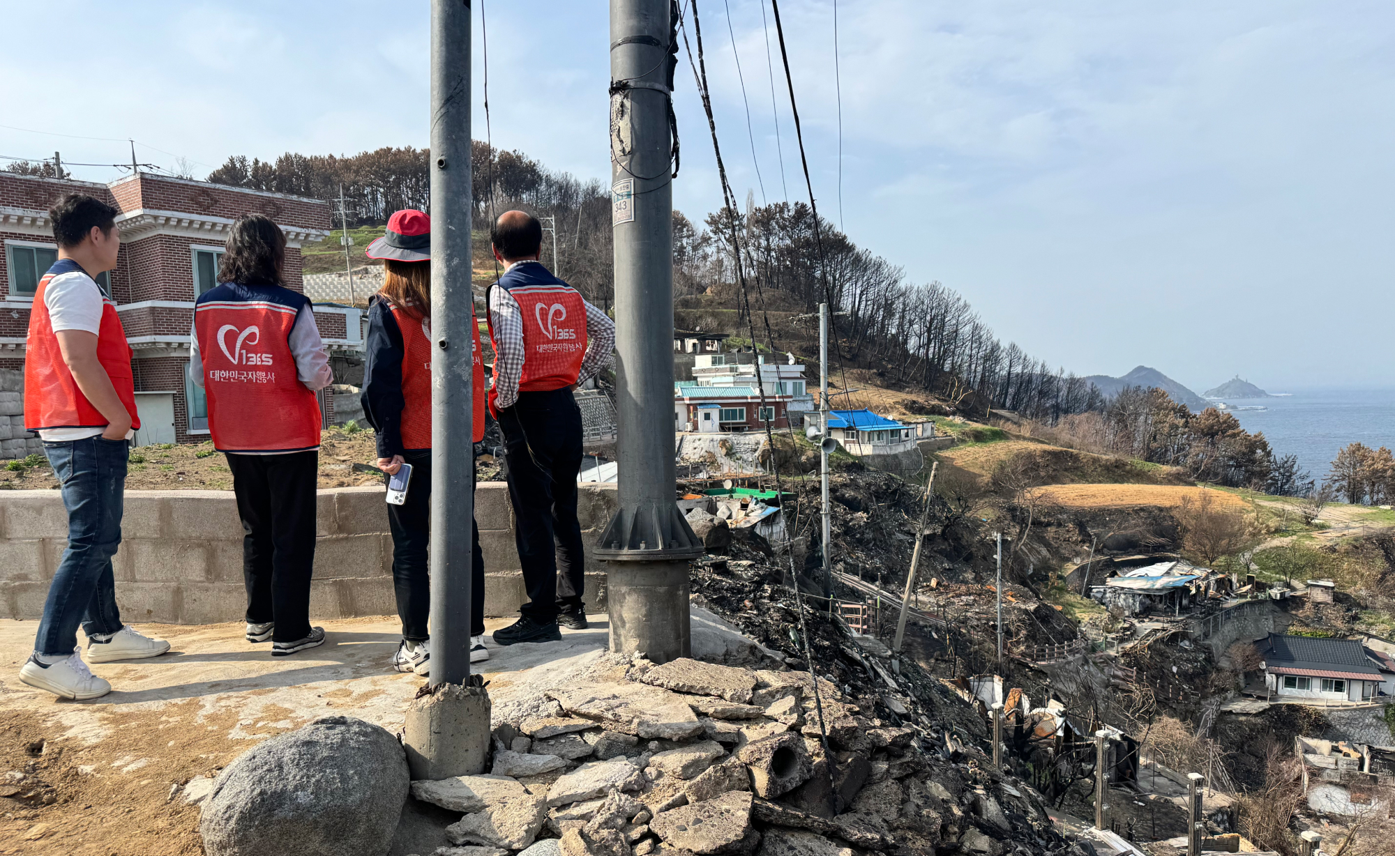 마을을 지키던 당산나무가 사라진 자리