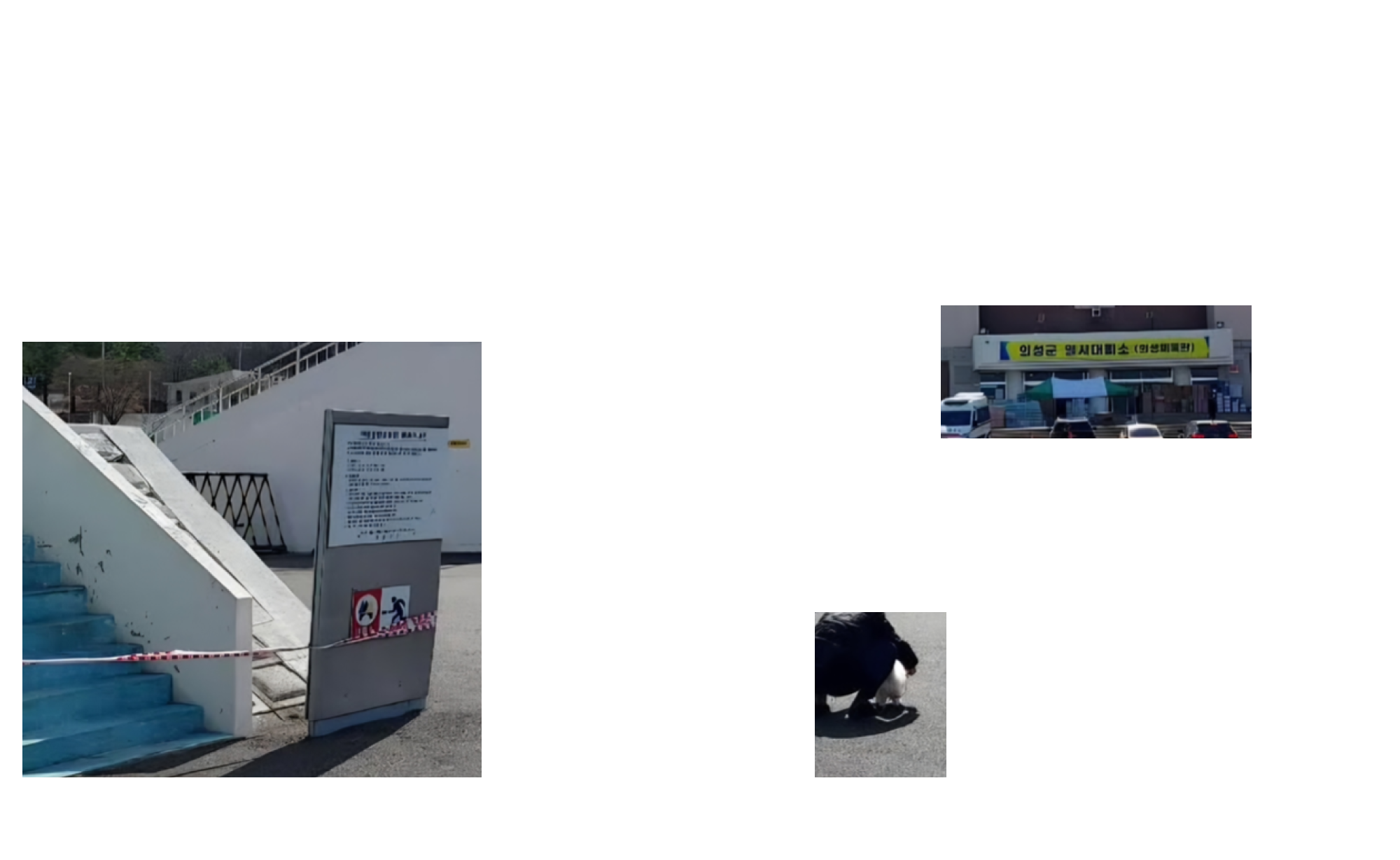 마을을 지키던 당산나무가 사라진 자리 분할 이미지