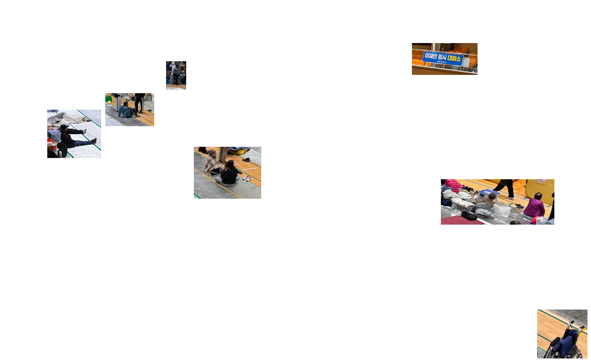 마을을 지키던 당산나무가 사라진 자리 분할 이미지