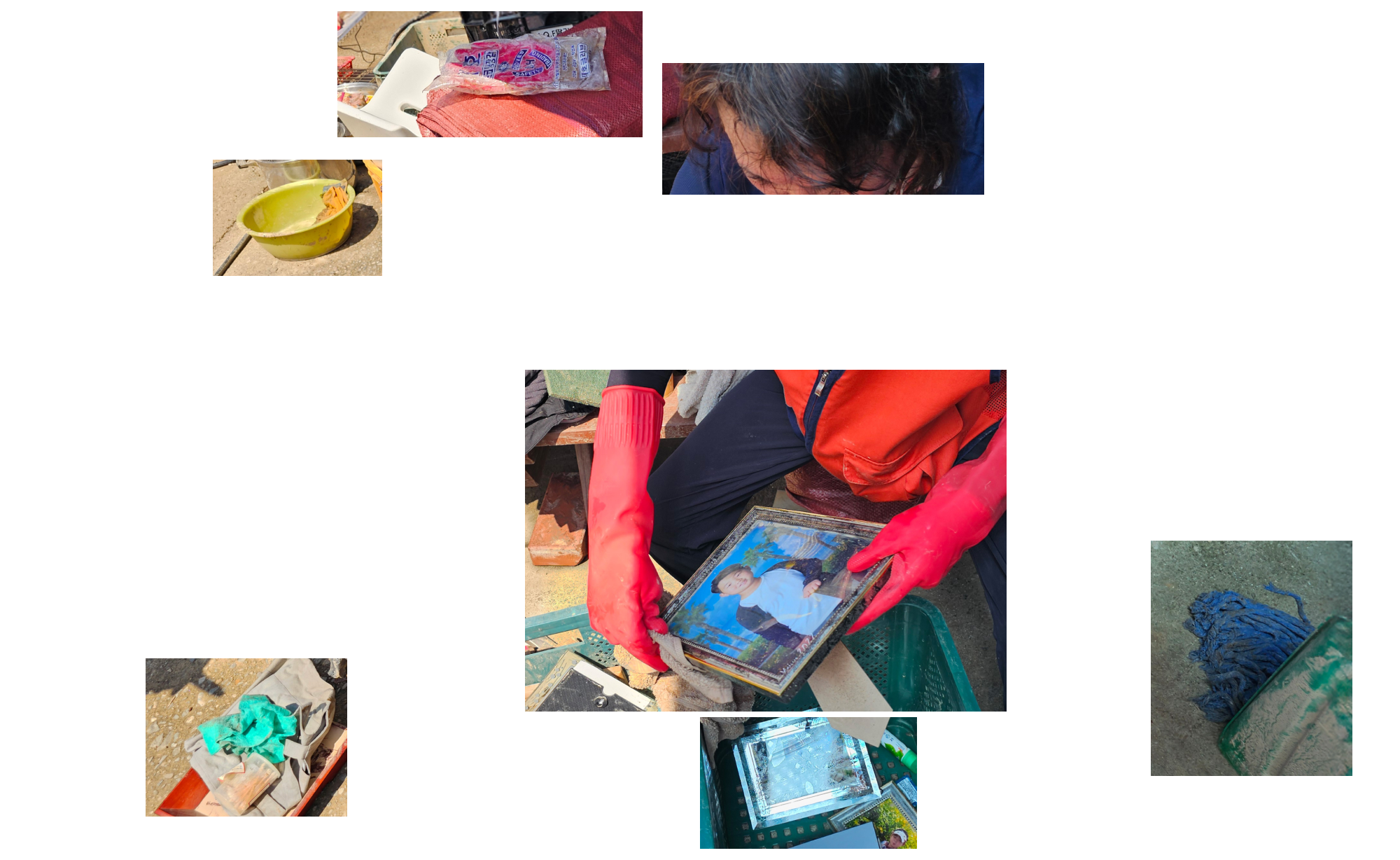 마을을 지키던 당산나무가 사라진 자리 분할 이미지