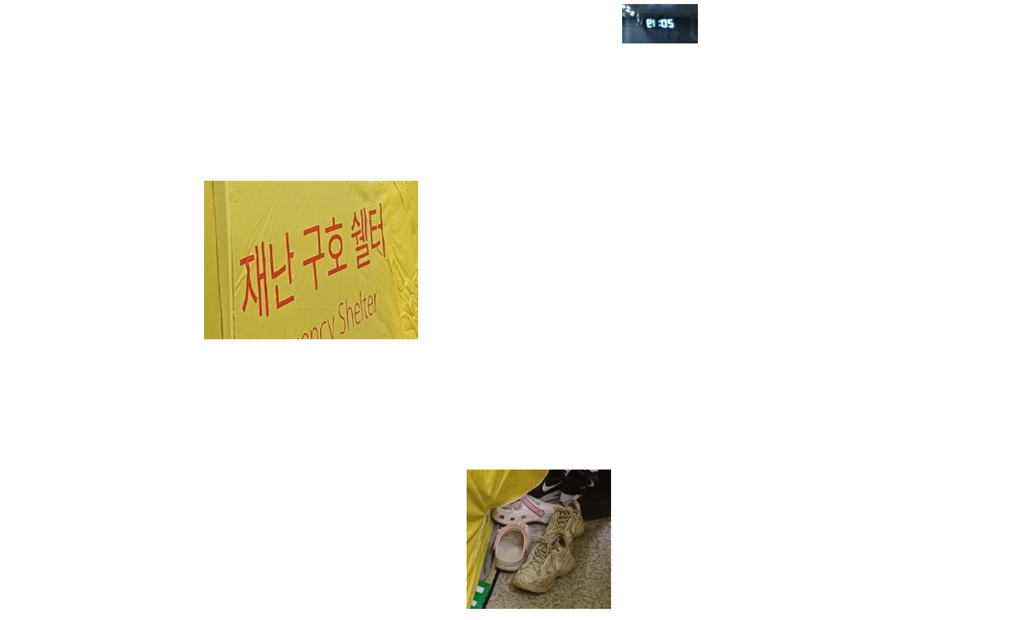 마을을 지키던 당산나무가 사라진 자리 분할 이미지