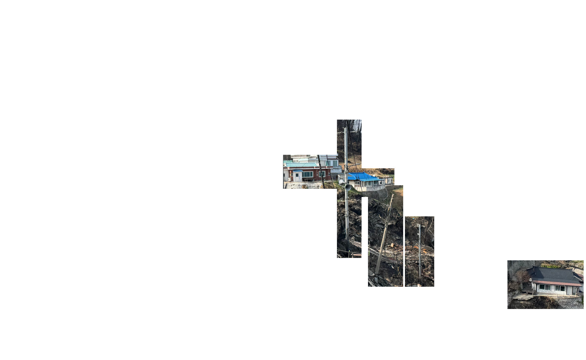 마을을 지키던 당산나무가 사라진 자리 분할 이미지